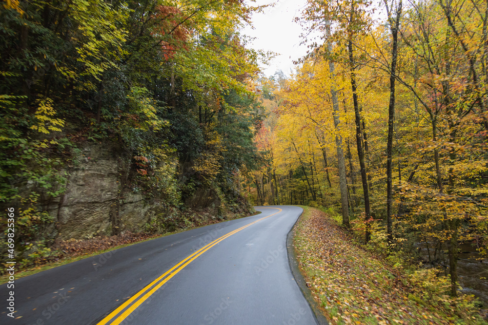 Road in the Great Smoky Mountains National Park with fall foliage