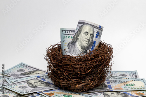 Bird nest with 100 dollar bills. Financial nest egg, retirement savings and investment concept