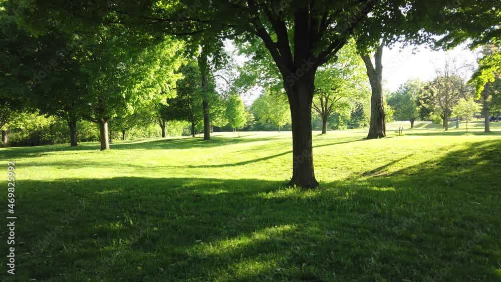 First Person Walking Through Luscious Green Park Green Vibrant Greens Bright Sunlight Golden Hour