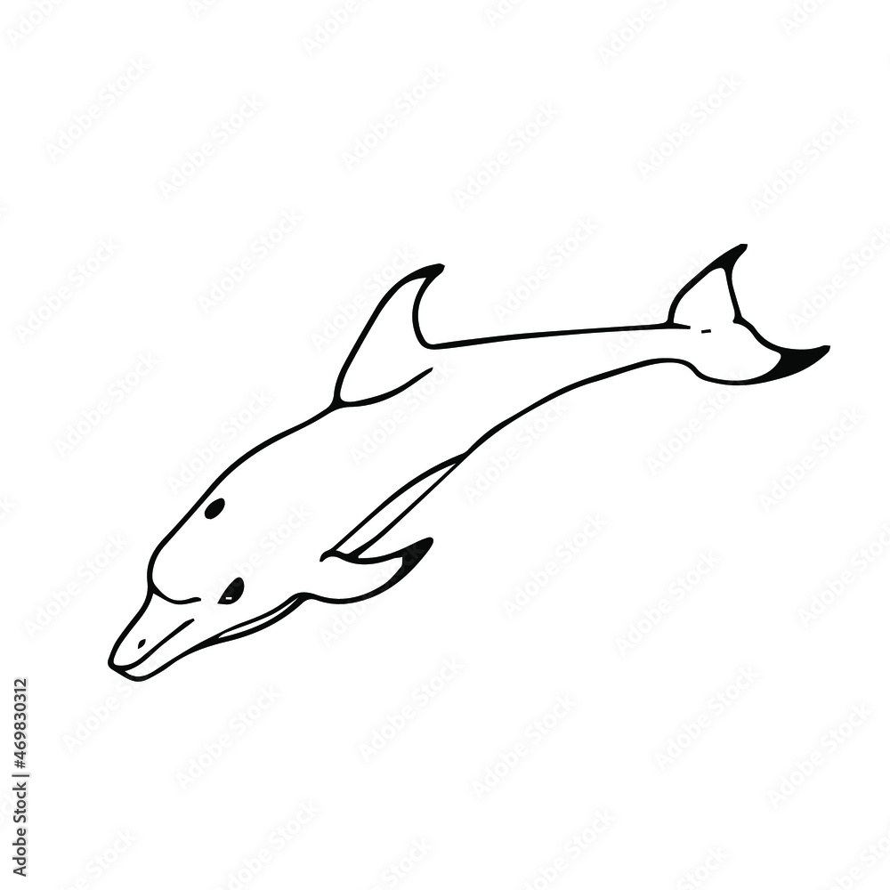 Dolphin in doodle style. Isolated vector. Dolphin in doodle style. Isolated vector.