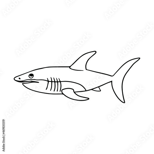 Shark in doodle style. Isolated clip art vector.