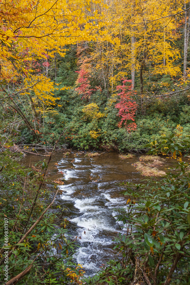 Stream in the fall in Great Smoky Mountains National Park, Tennessee
Stream in the fall in Great Smoky Mountains National Park, Tennessee
