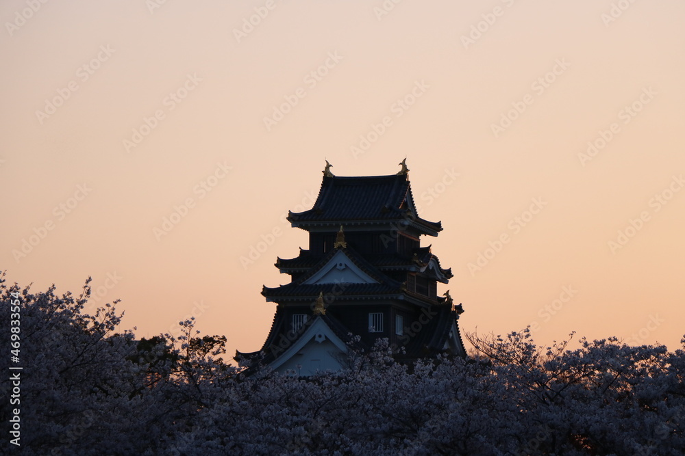 Naklejka premium 旭川から見る岡山城と桜の夕焼け