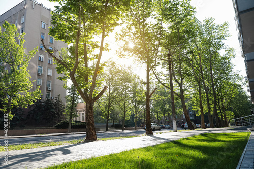 Fototapeta Naklejka Na Ścianę i Meble -  View of alley with green trees in city on spring day