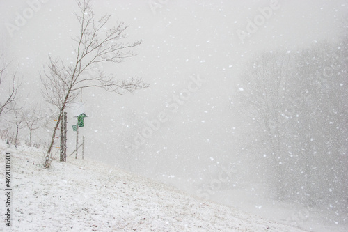 Obraz na plátne Falling snow blizzard on slope near forest with bird feeders