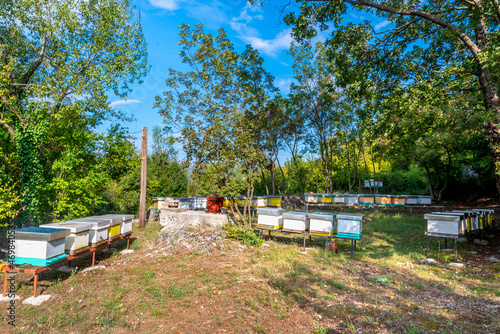 Bee hives in the yard of a residential home in the countryside of Montenegro.