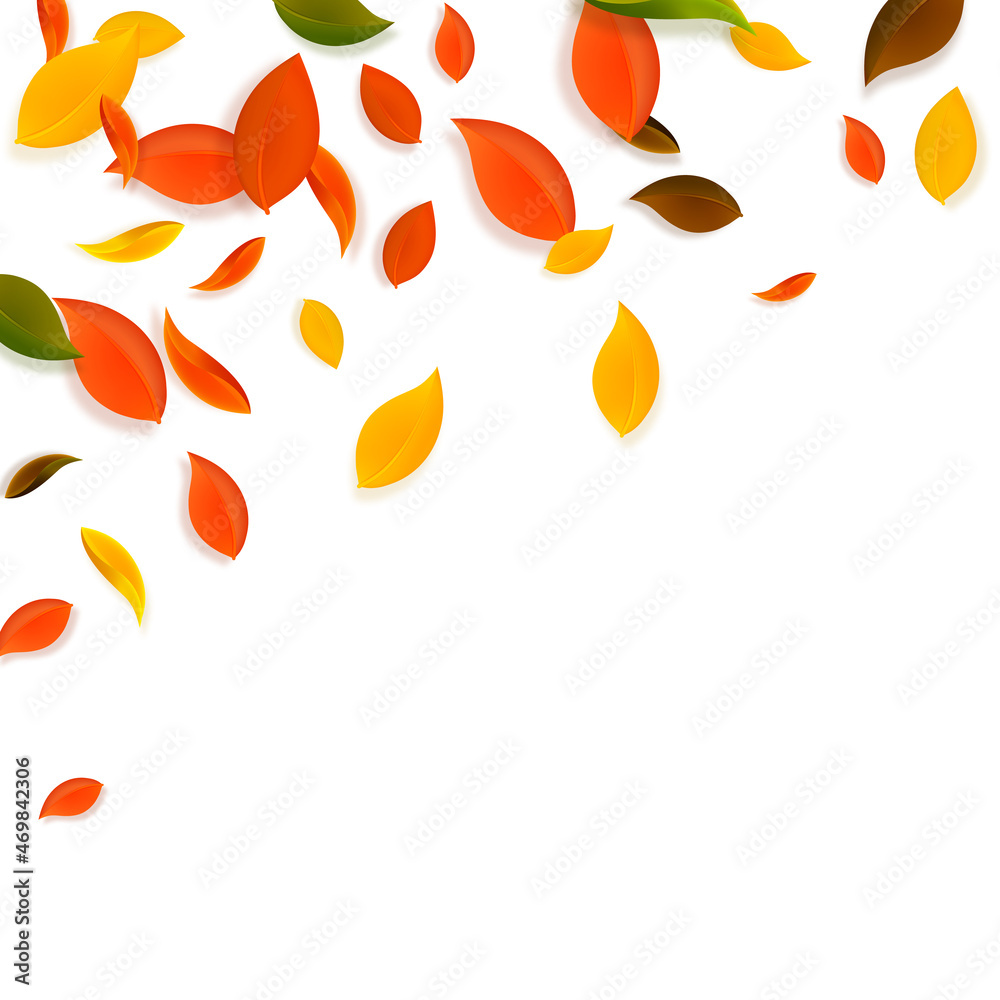 Fototapeta premium Falling autumn leaves. Red, yellow, green, brown c