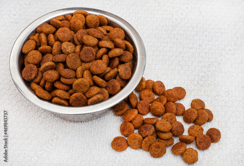 bowl of dried dogfood pellets with copy space photo