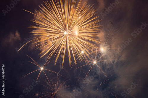 Fireworks on the background of a dark sky. 