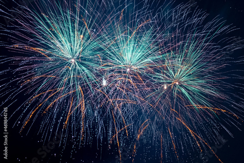 Fireworks on the background of a dark sky. 