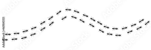 Worker ants trail curve. Ant path isolated in white background. Vector illustration