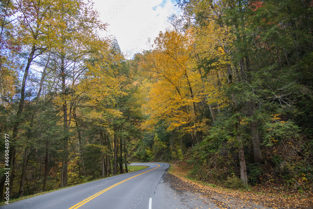 Two lane road in the Great Smoky Mountains National Park with fall foliage