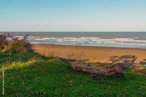 Log on the grass by the sea