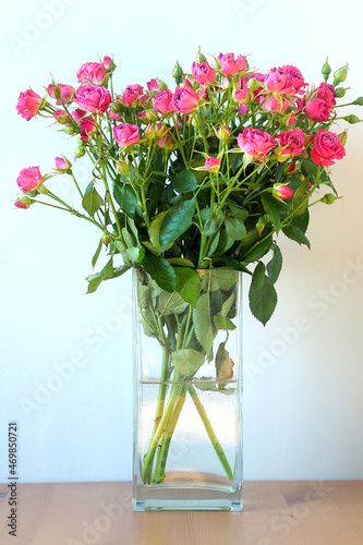 Spring blue background with a bouquet of pink roses in a vase. Postcard for Mother's Day, Women's Day, St. Valentine, March 8
