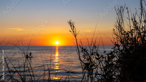 Wild dune plants in foreground with sunset over lake Michigan in background