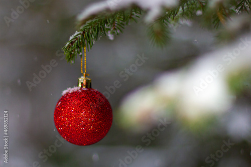 Christmas toy on a Christmas tree branch