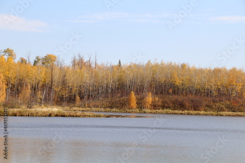 autumn in the forest, Elk island National Park, Alberta