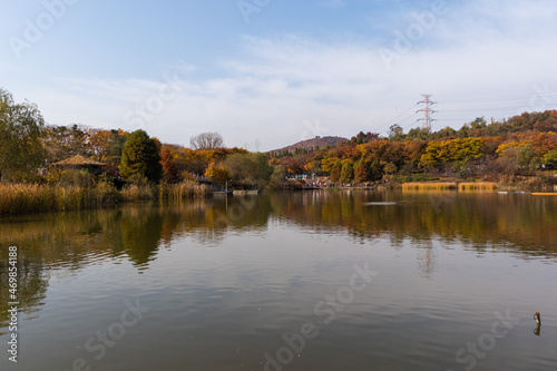 autumn in the park © Kang Sunghee