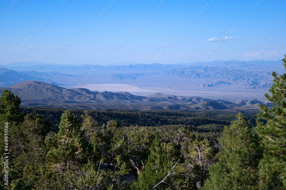 Mount Charleston: View of the Desert