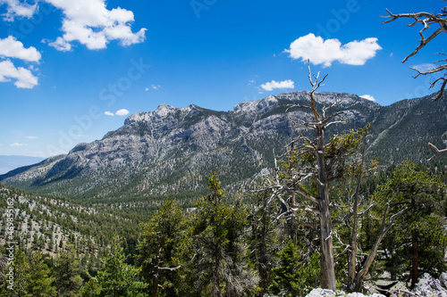 Mount Charleston: Mountain Folding