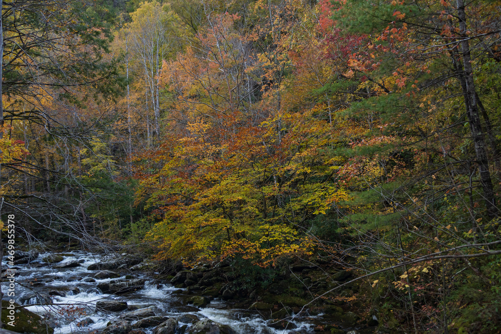 Cascading mountain stream in the fall Great Smoky Mountains National Park Cascading mountain stream in the fall Great Smoky Mountains National Park