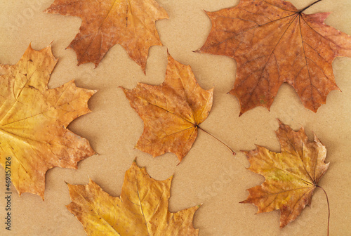 Pattern of dry orange autumn maple leaves on craft paper background