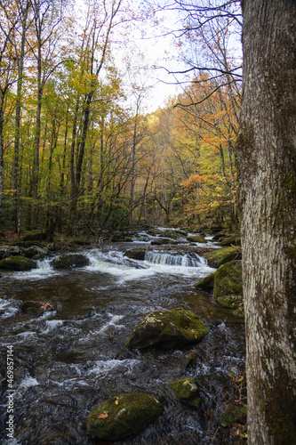 Cascading mountain stream in the fall Great Smoky Mountains National Park