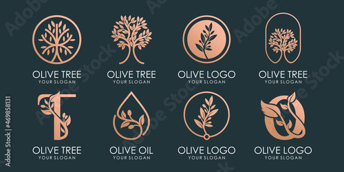  Olive , oil and tree logo and icon set. design template vector. Premium Vector
