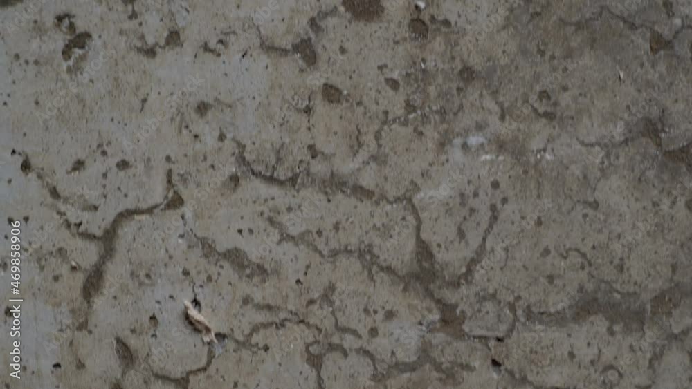 textured old gray concrete background stained with beige stucco with scratches and holes. free space. copy space. vertical move slider. close up. 4k textured old gray concrete background stained with beige stucco with scratches and holes. free space. copy space. vertical move slider. close up. 4k