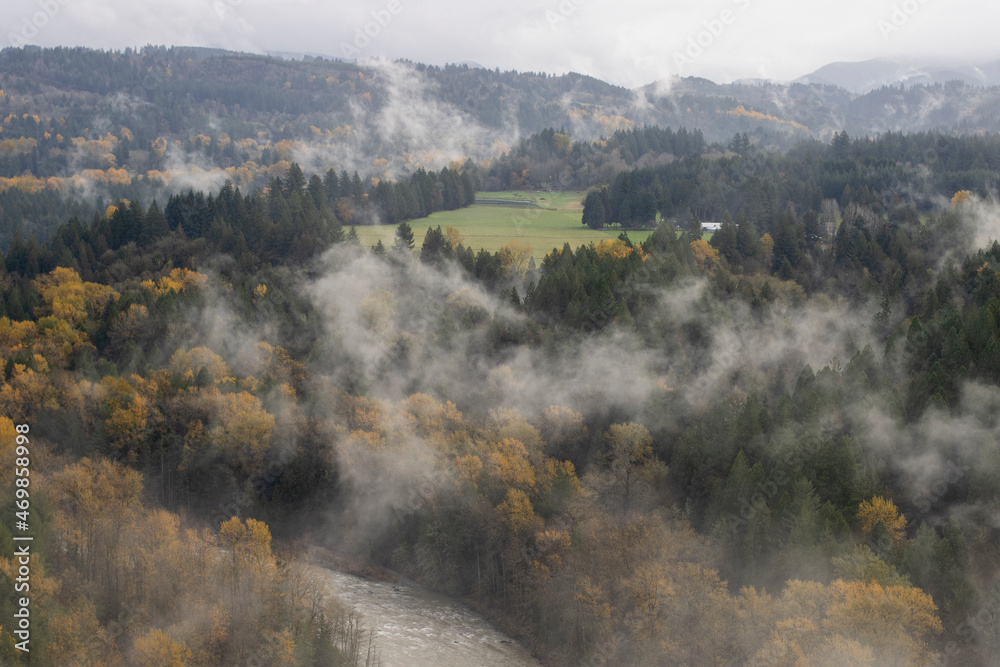 Moving fog among trees with colorful fall foliage in Sandy River Valley.