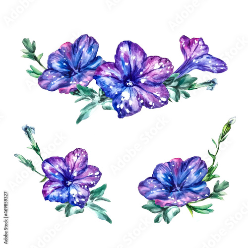 Composition purple petunia flowers, buds, leaves. Watercolor floral background