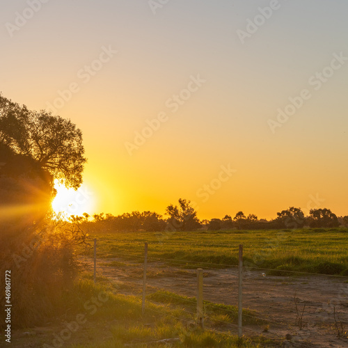 Country Sunset