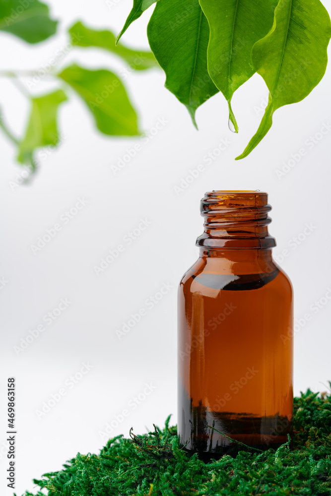 Cosmetics in a bottle, essential oil on moss Cosmetics in a bottle, essential oil on moss