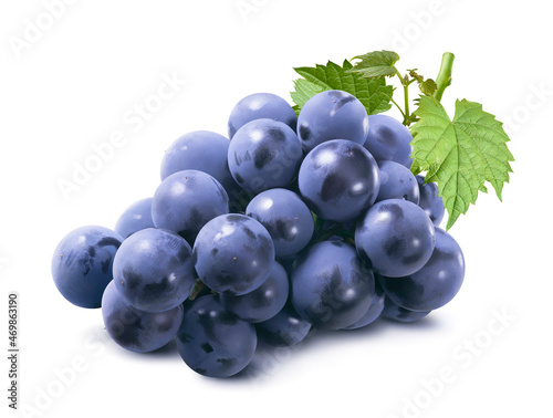 Cluster of blue grapes with leaves isolated on white background. Bunch of dark berries.