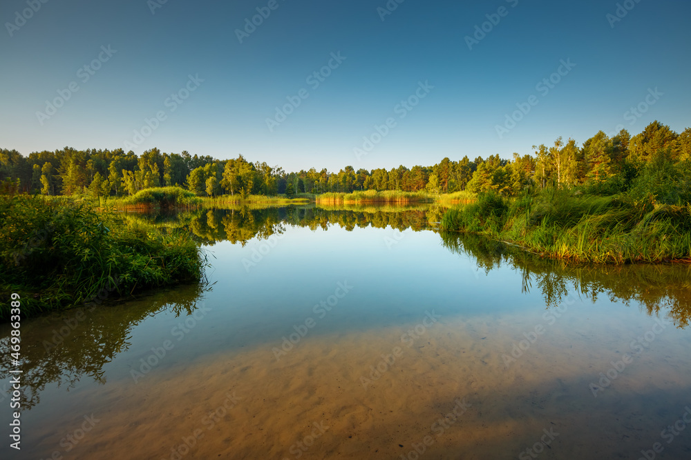 Fantastic view of a calm lake and green forests on a sunny day.
