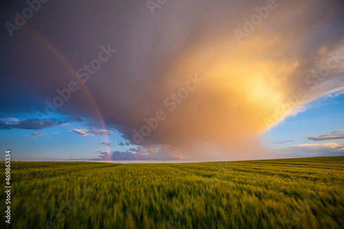 Picturesque agricultural landscape with magical rainbow in blue sky.