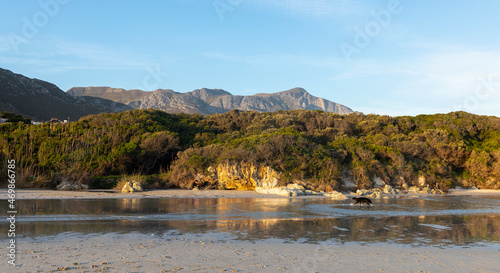 Woodland and mountains scenery, a small sheltered sandy beach on the Atlantic shore. 