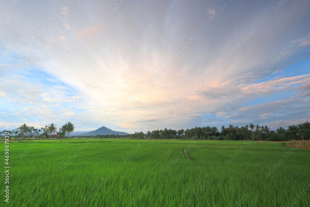 green field and sky green field and sky