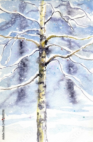 Watercolor postcard, winter birch hand drawing