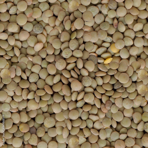 Lentils. Close-up. Seamless pattern.