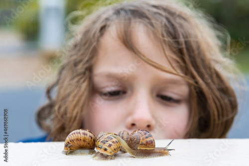 Young boy looking closely at snails on a wall.  photo