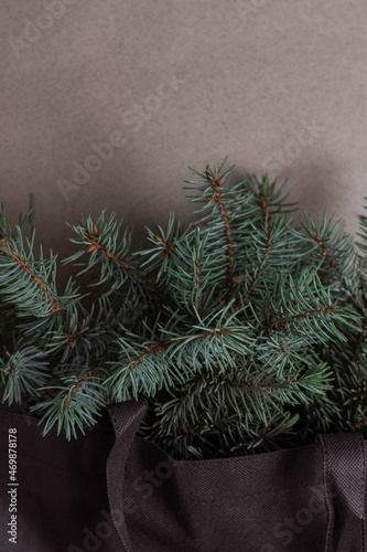 Christmas tree branches in a brown bag on a gray background