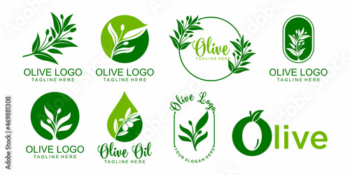 olive logo icon set . template vector design