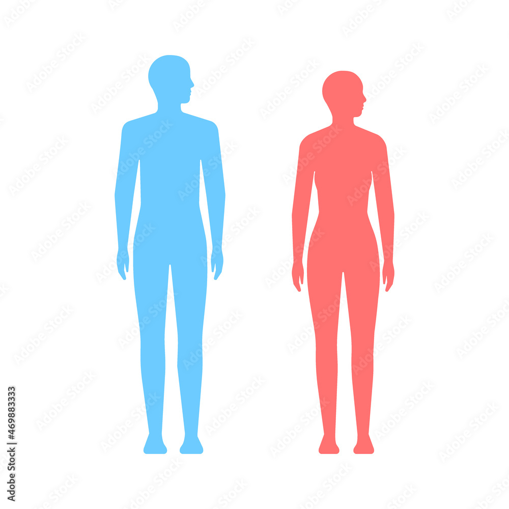 People silhouette body man and woman. Different figure silhouette, physique. Vector illustration People silhouette body man and woman. Different figure silhouette, physique. Vector illustration