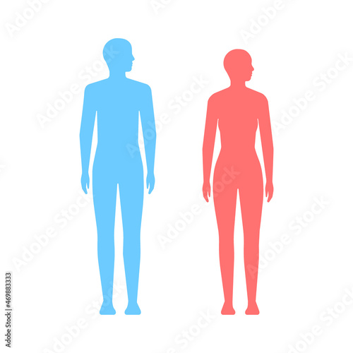 People silhouette body man and woman. Different figure silhouette  physique. Vector illustration
