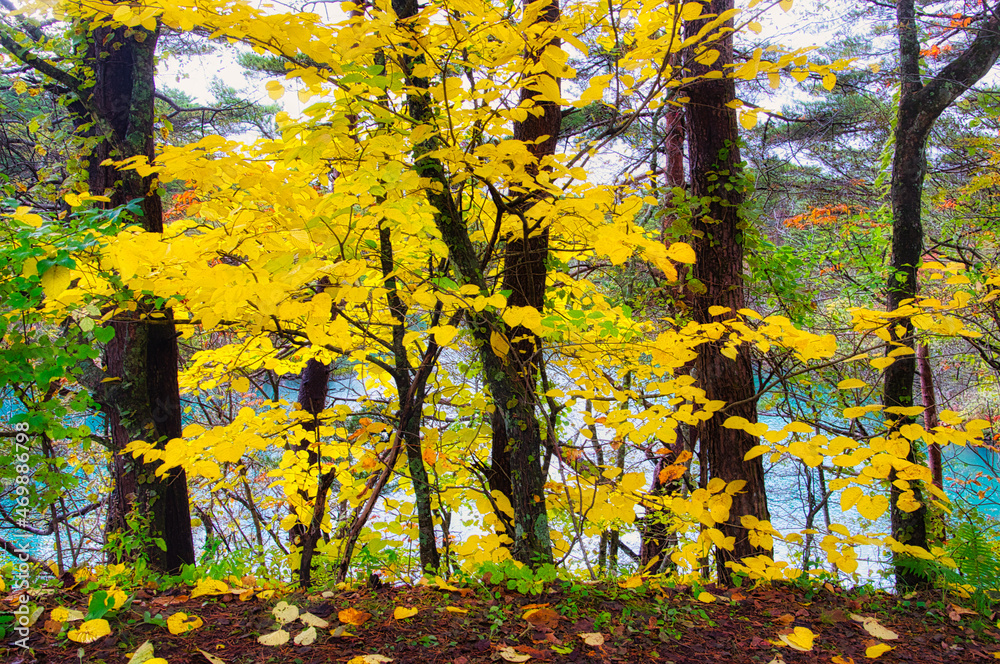 爽やかな空気感が素晴らしい、秋の福島・裏磐梯・五色沼周辺の美しい風景