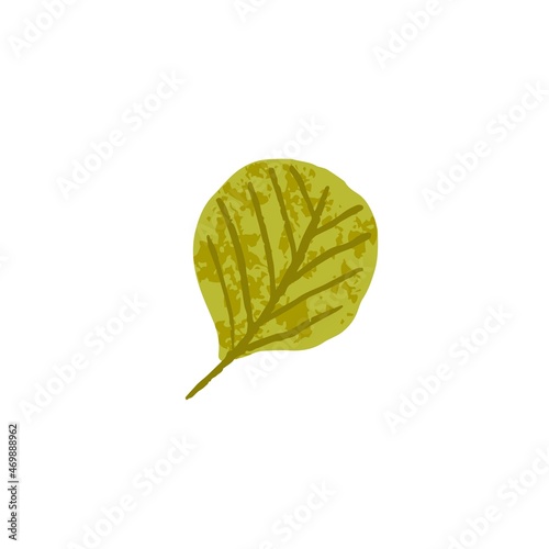 Dry green leaf of autumn aspen tree. Fall foliage. September dry plant. Autumnal leaves. Colored flat vector illustration isolated on white background