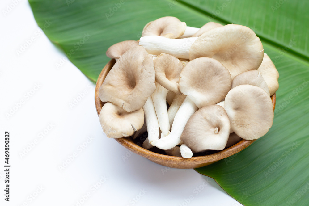 Fototapeta premium Fresh oyster mushroom in wooden bowl on banana leaf