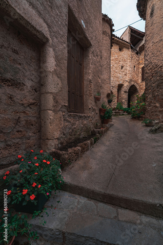 Street view of an ancient town in southern France  the Saint-Guilhem-le-D  sert in France