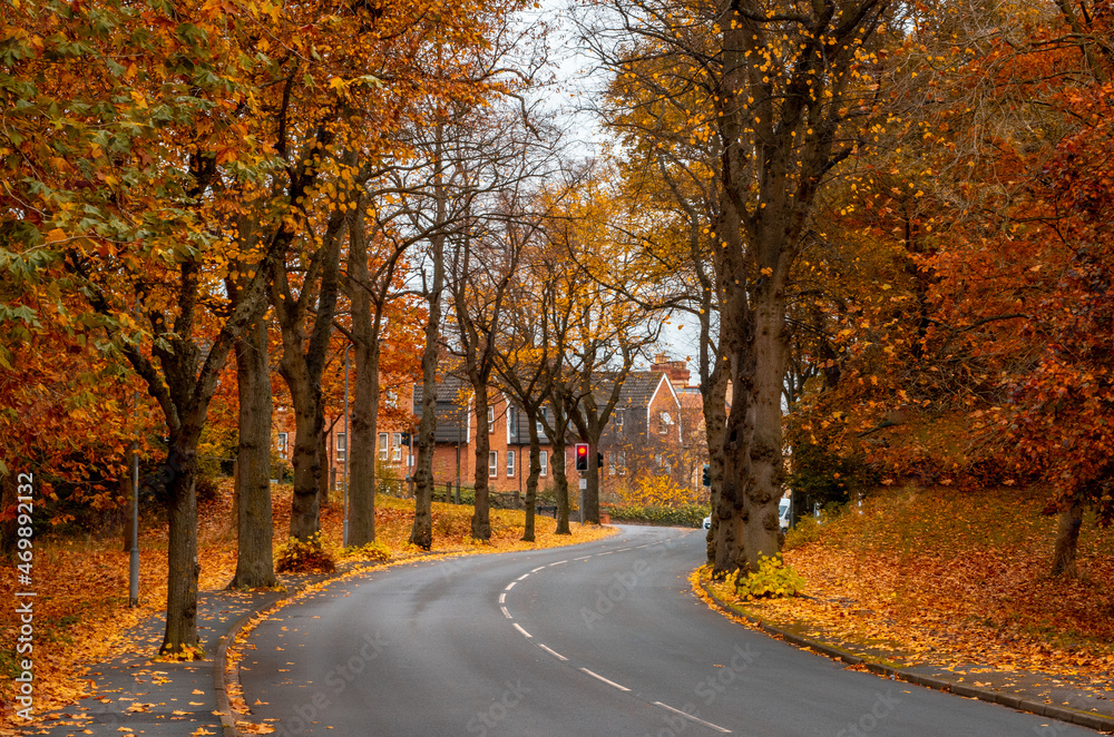an autumn road in Worcestershire 